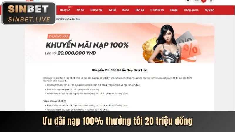 Nhập thông tin tài khoản đăng nhập
